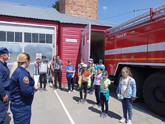 ​Дмитриевским школьникам и студентам о пожарных и безопасности