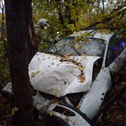 ​Огнеборцы ПЧ Фатежского района на ликвидации последствий ДТП
