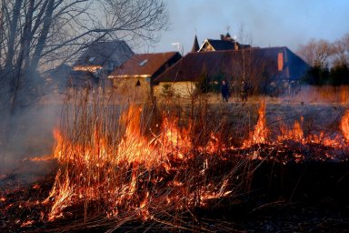 Неконтролируемые палы сухой травы опасны. Неконтролируемые палы сухой травы опасны.