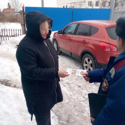 ​В Михайловском сельсовете Железногорского района проведено ОТИ