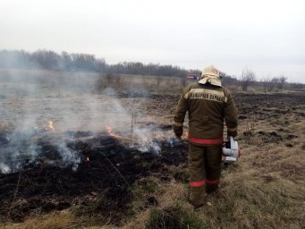 ​Возгорание сухой травы в д. Васильевка ликвидировано