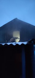 ​Тимские огнеборцы спасли человека на пожаре