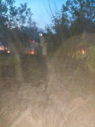Горение сухой травы д.1-е Писклово ликвидировано Горение сухой травы д.1-е Писклово ликвидировано