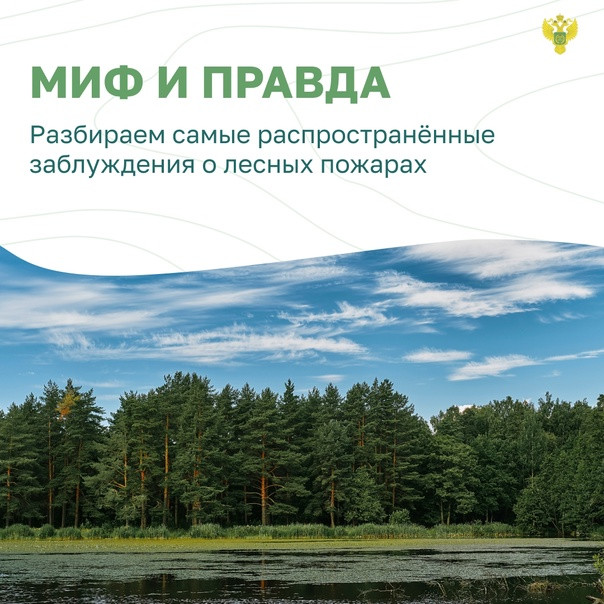 Распространённые заблуждения о лесных пожарах
