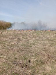 АНО «Центр «Патриот» Рыльского района потушили горение сухой травы АНО «Центр «Патриот» Рыльского района потушили горение сухой травы