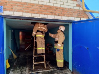 Черемисиновские добровольцы успешно ликвидировали возгорание Черемисиновские добровольцы успешно ликвидировали возгорание