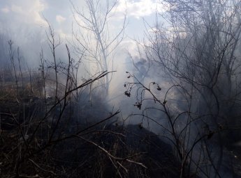 ​Черемисиновские пожарные ликвидировали возгорание