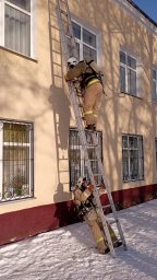 ПТЗ в Курском районе