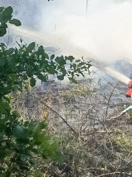 Пожар в карьере на ул. Лесная Черемисиновского района Пожар в карьере на ул. Лесная Черемисиновского района