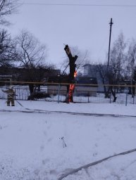 ​Черемисиновские огнеборцы потушили возгорание