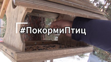 Работники Противопожарной службы Курской области продолжают принимать участие в акции #покормиптиц