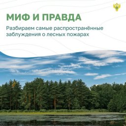 Распространённые заблуждения о лесных пожарах