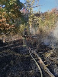 ​Быстрая ликвидация пожара в деревне Износково Рыльского района