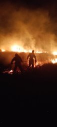 ​Огнеборцы ПЧ Курского района на тушении 4 возгораний