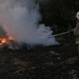 ​Очаг горения ликвидирован пожарными Поныровского района