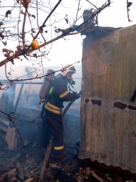 Пожар потушен. Дом не пострадал Пожар потушен. Дом не пострадал
