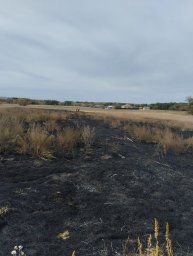 ​Добровольная пожарная дружина Горшеченского района оперативно ликвидировала возгорание