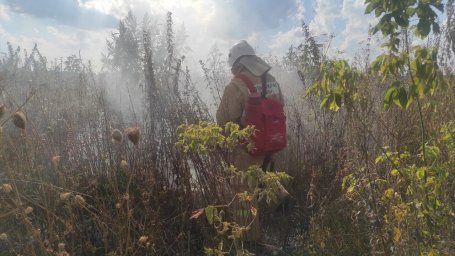 Горение сухой травы в Гостомлянском сельсовете