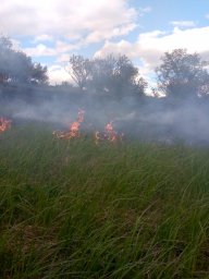 Огнеборцы Рыльского района не допустили распространения огня на жилые постройки Огнеборцы Рыльского района не допустили распространения огня на жилые постройки