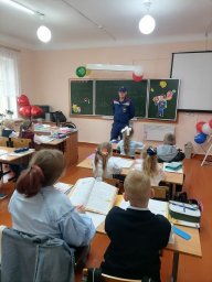 ​Проведение открытых уроков в школах в Солнцевского района