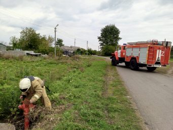 Профилактическая работа на территории Черемисиновского района Профилактическая работа на территории Черемисиновского района